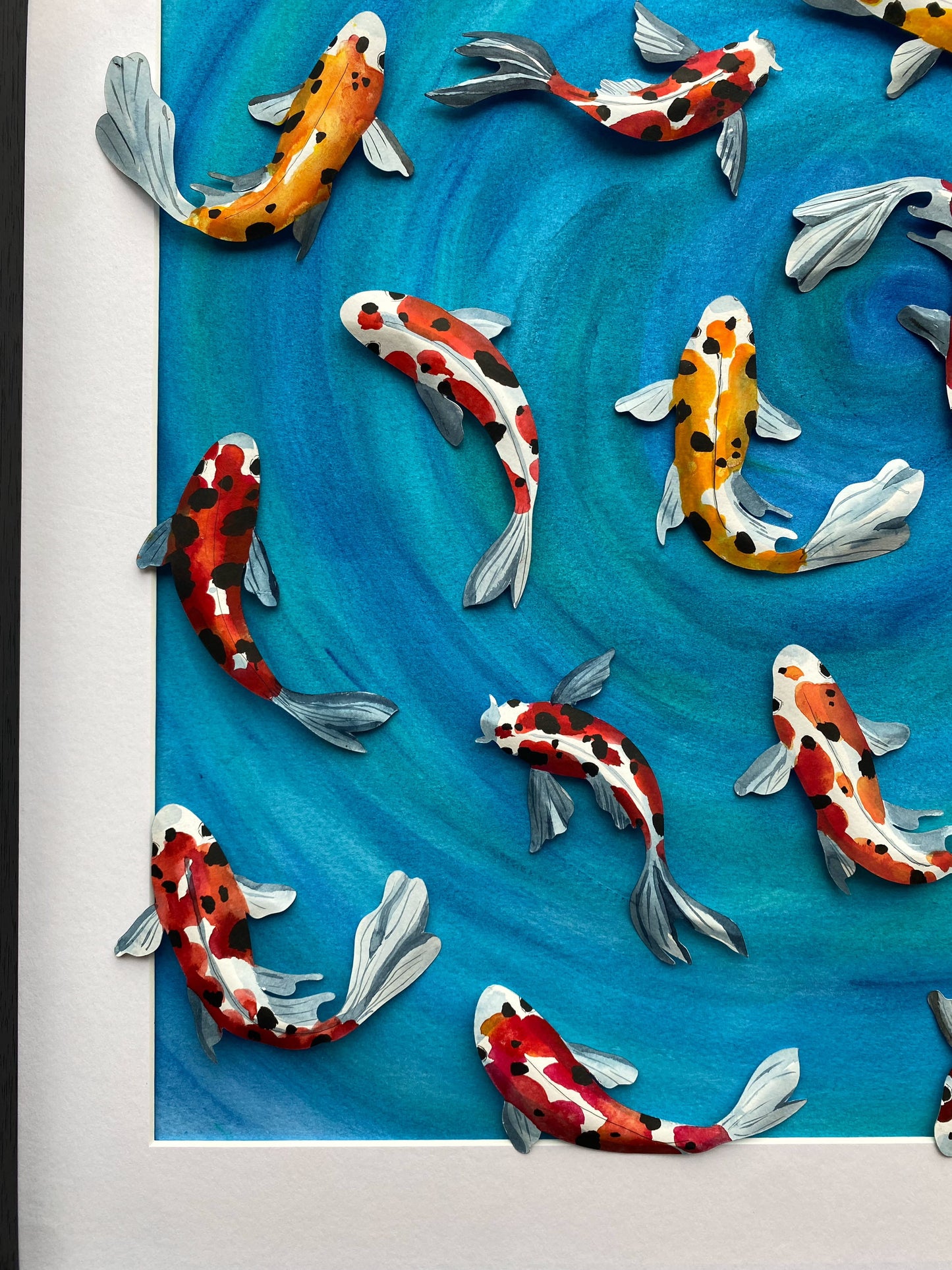 Swimming Koi - Out for a swim