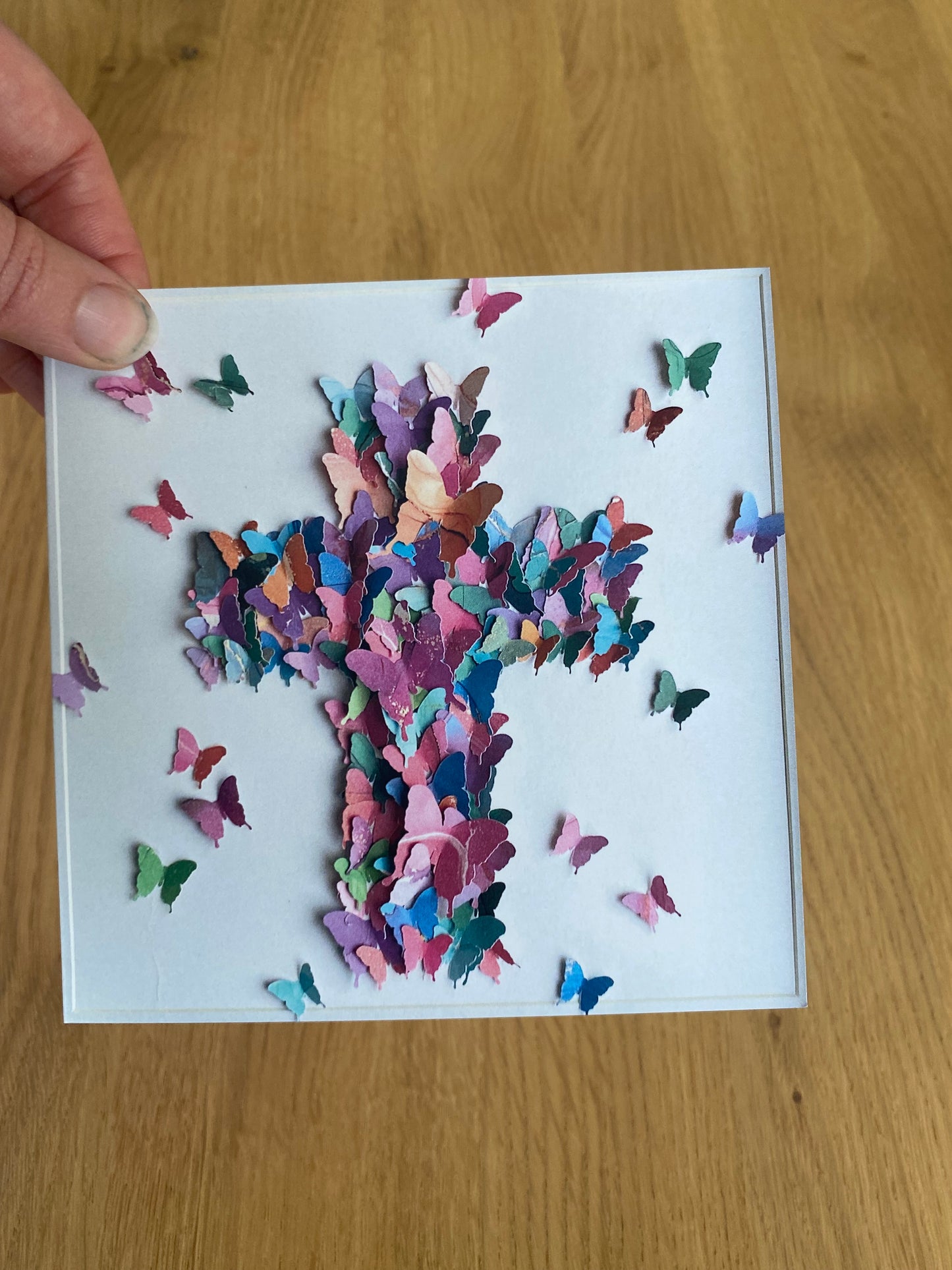 Greeting Card - Butterflies - Blank Art Cards