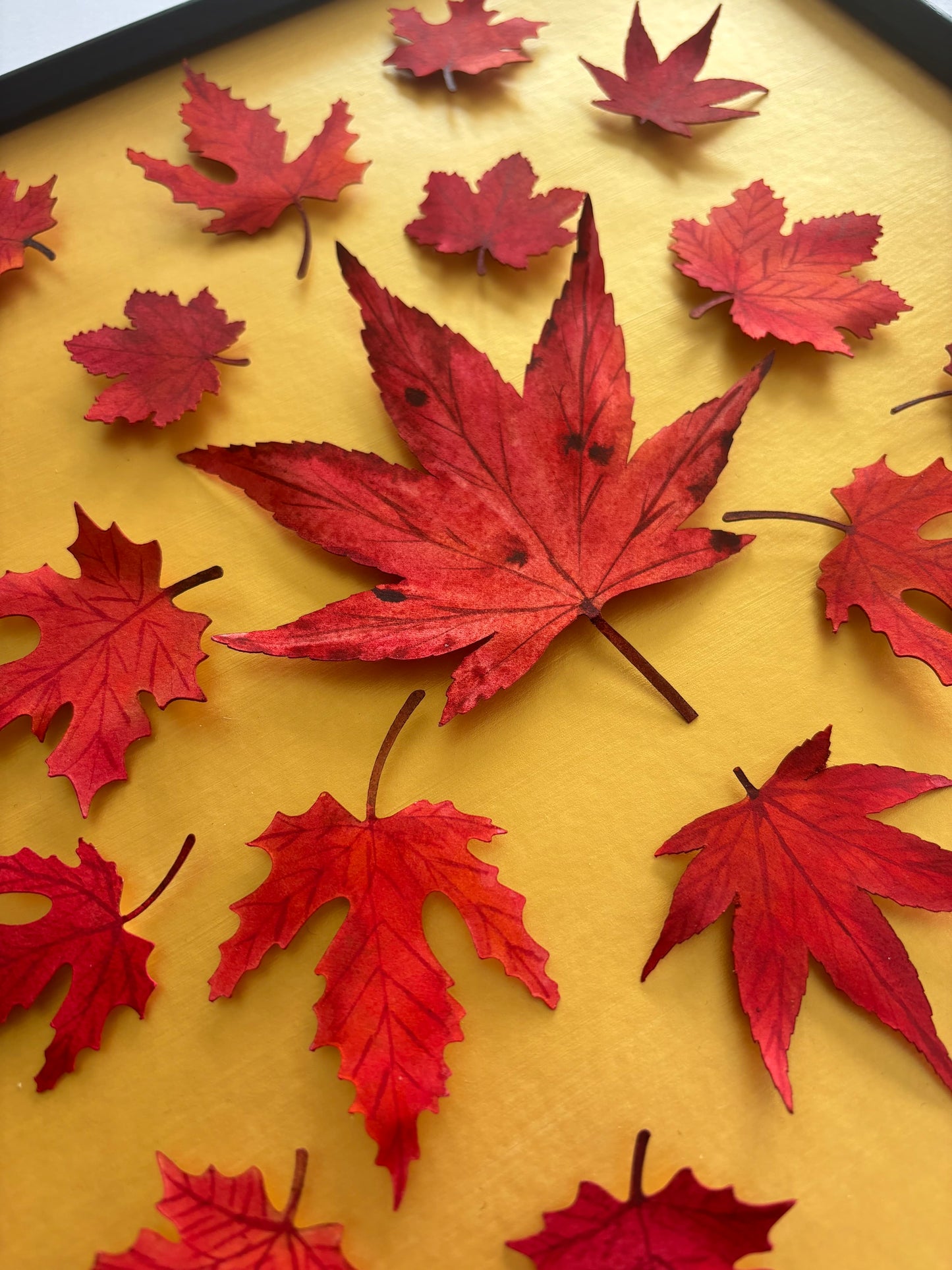 Autumnal wonder