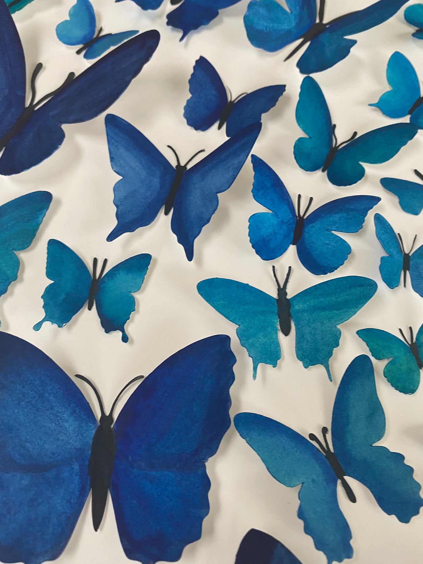 Blue Paper Butterflies - Come Fly With Me