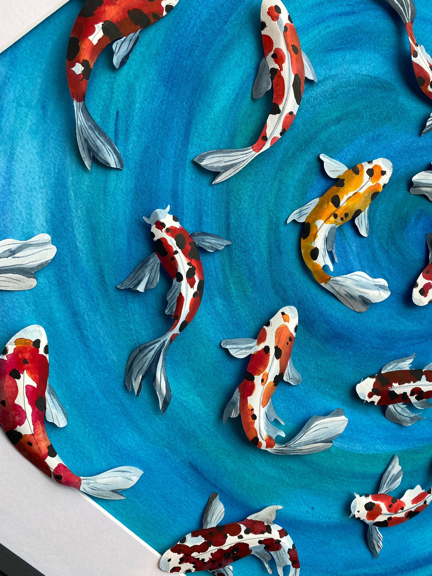 Swimming Koi - Out for a swim