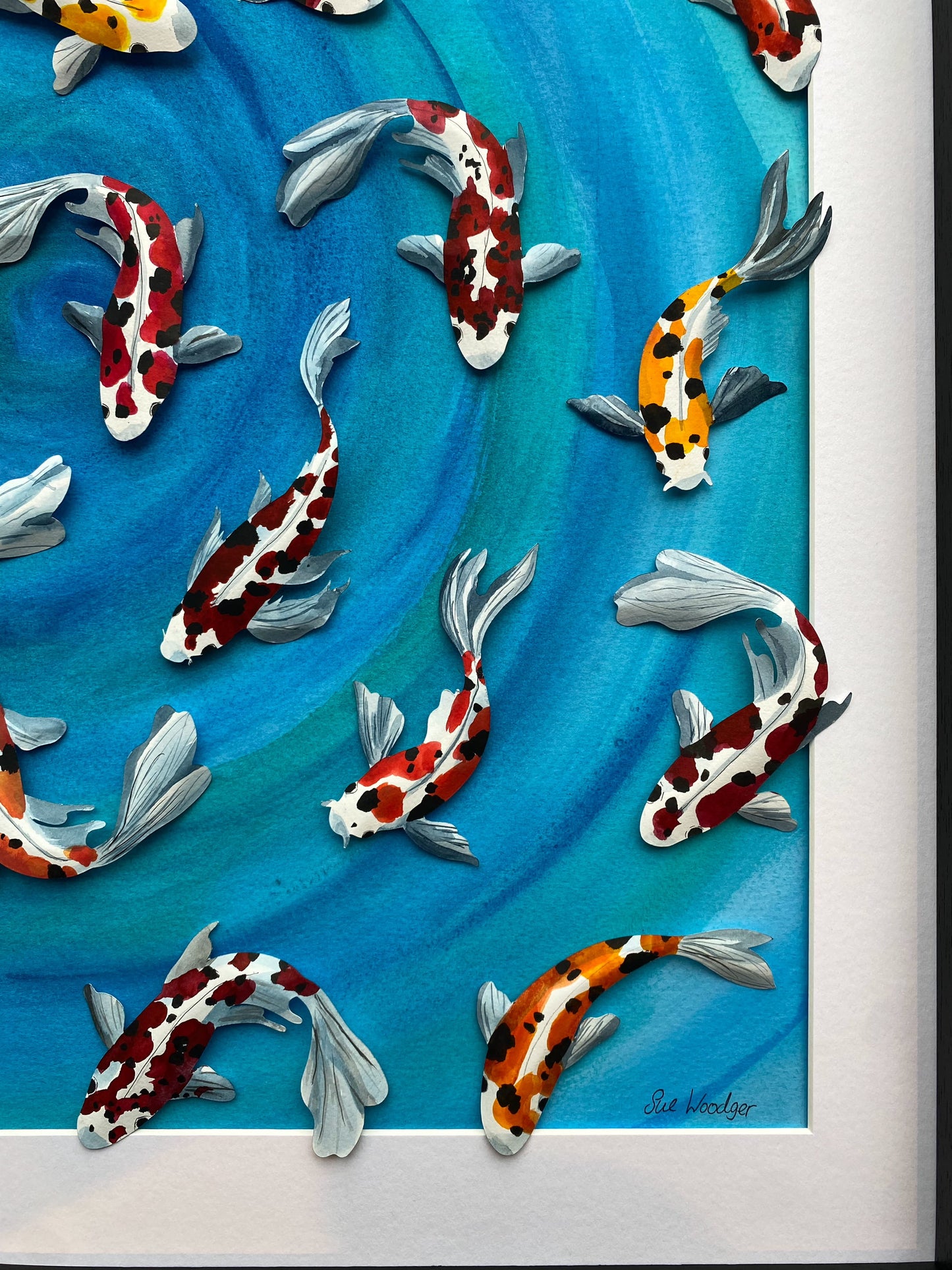 Swimming Koi - Out for a swim