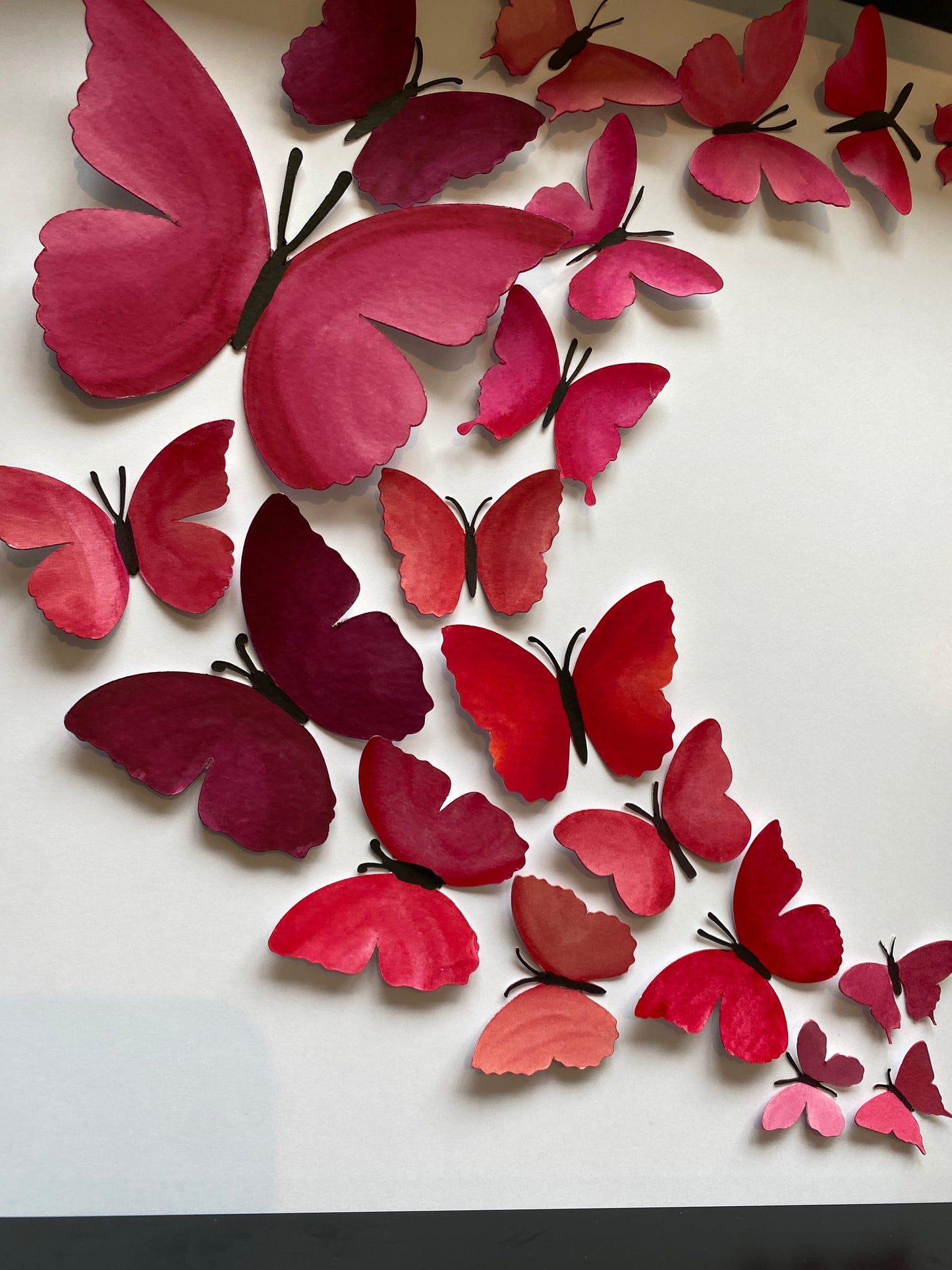 Sweeping pink butterflies - large