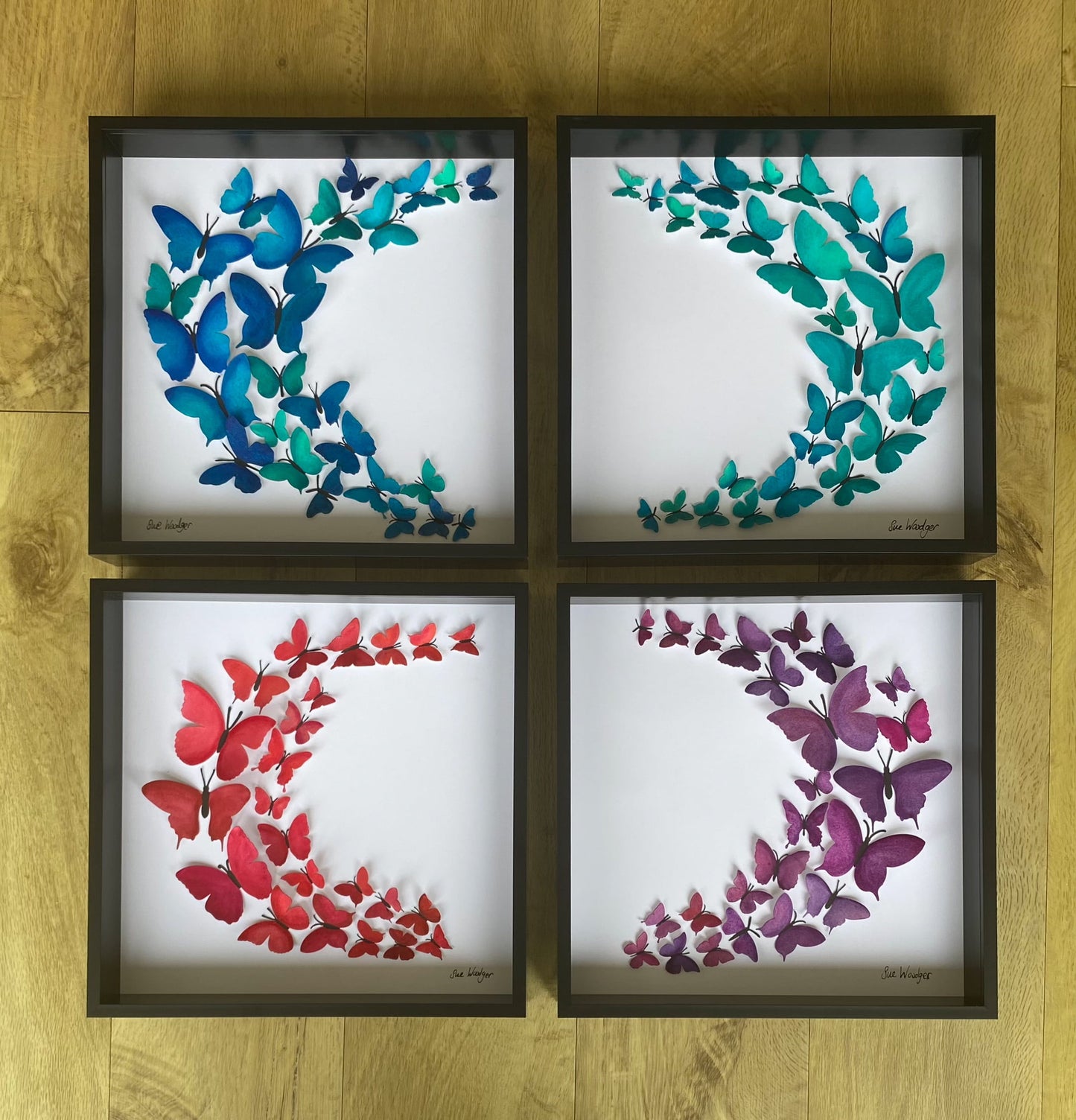 Sweeping Emerald butterflies - large
