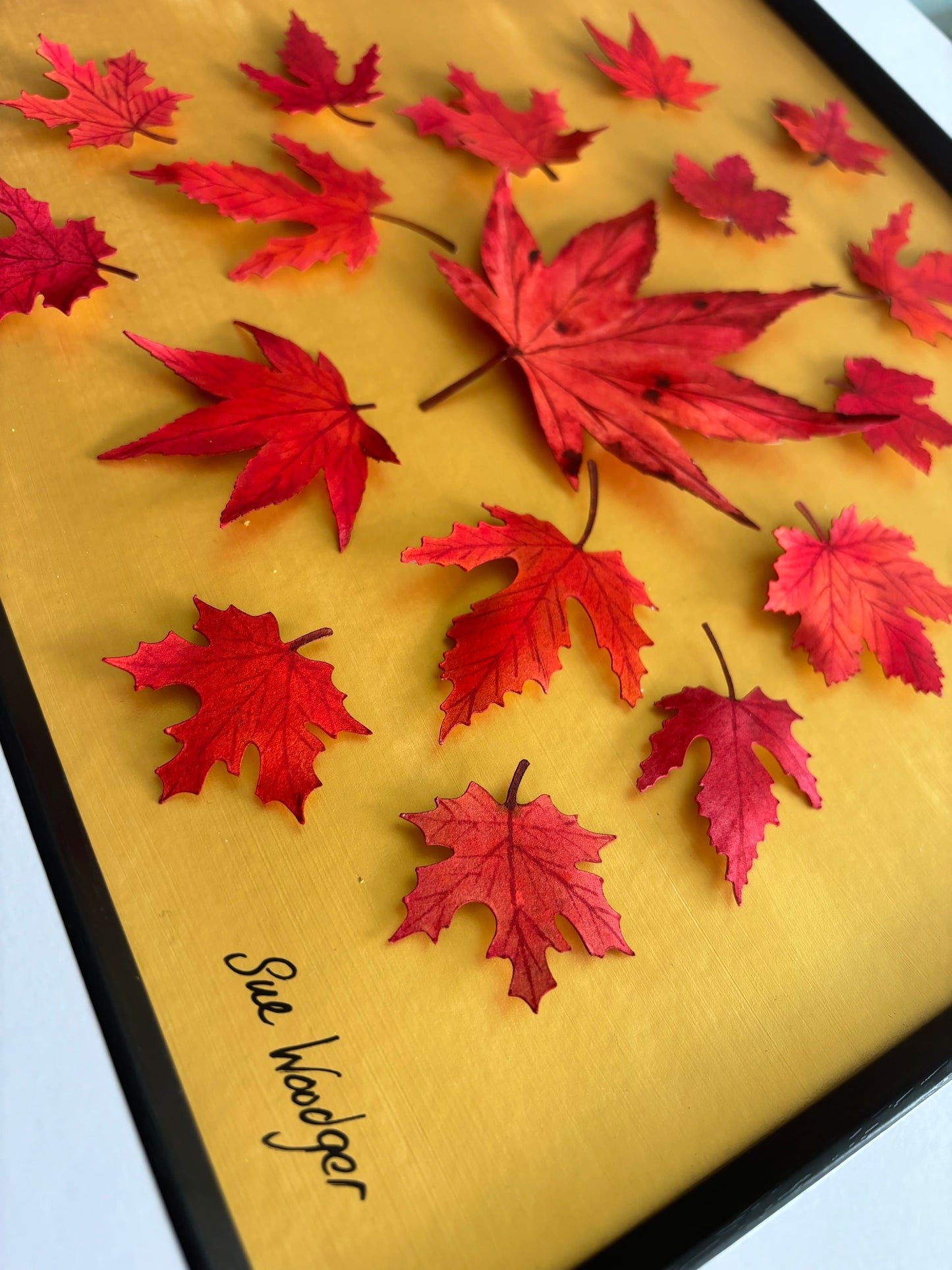 Autumnal wonder