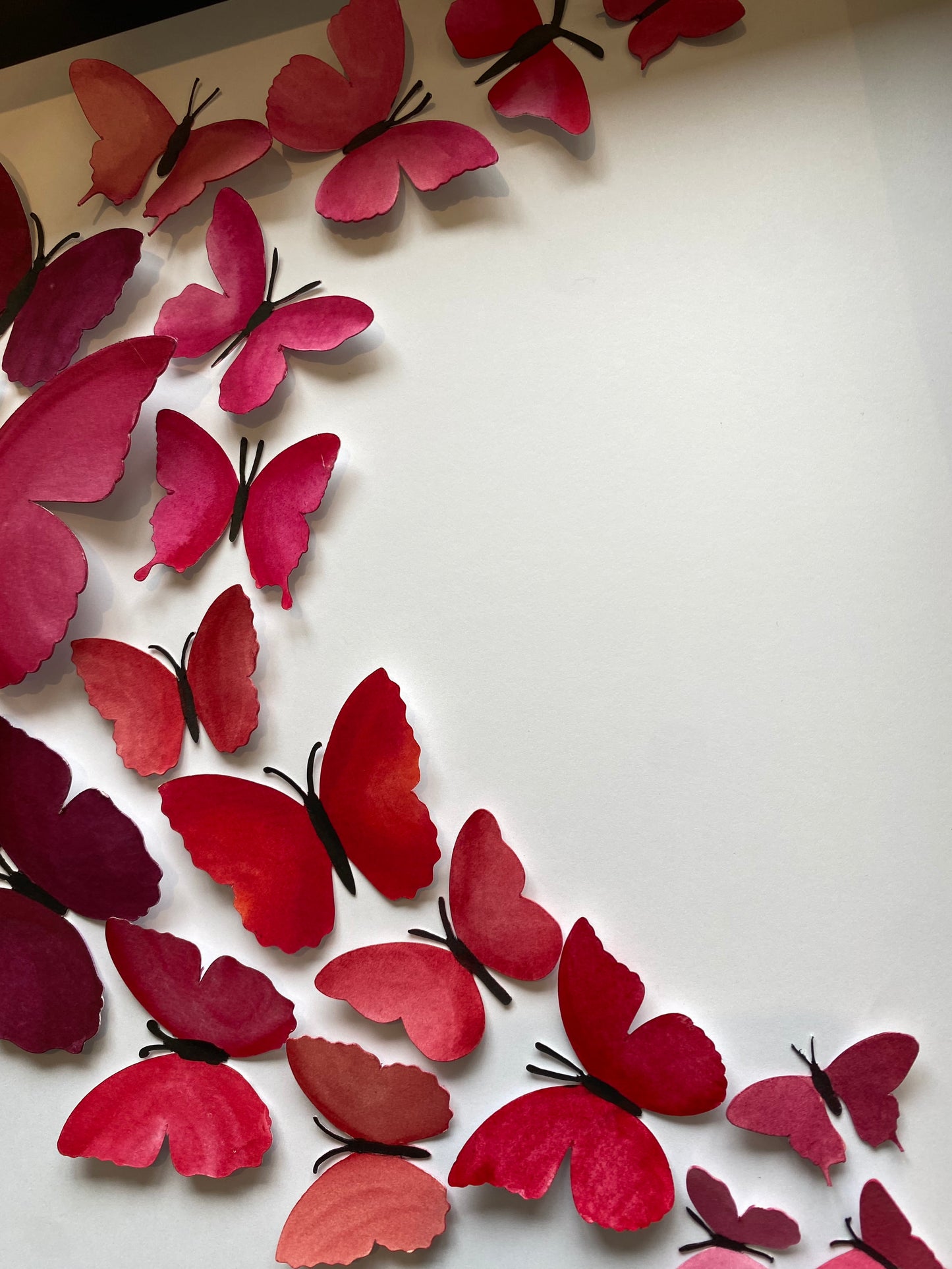 Sweeping pink butterflies - large