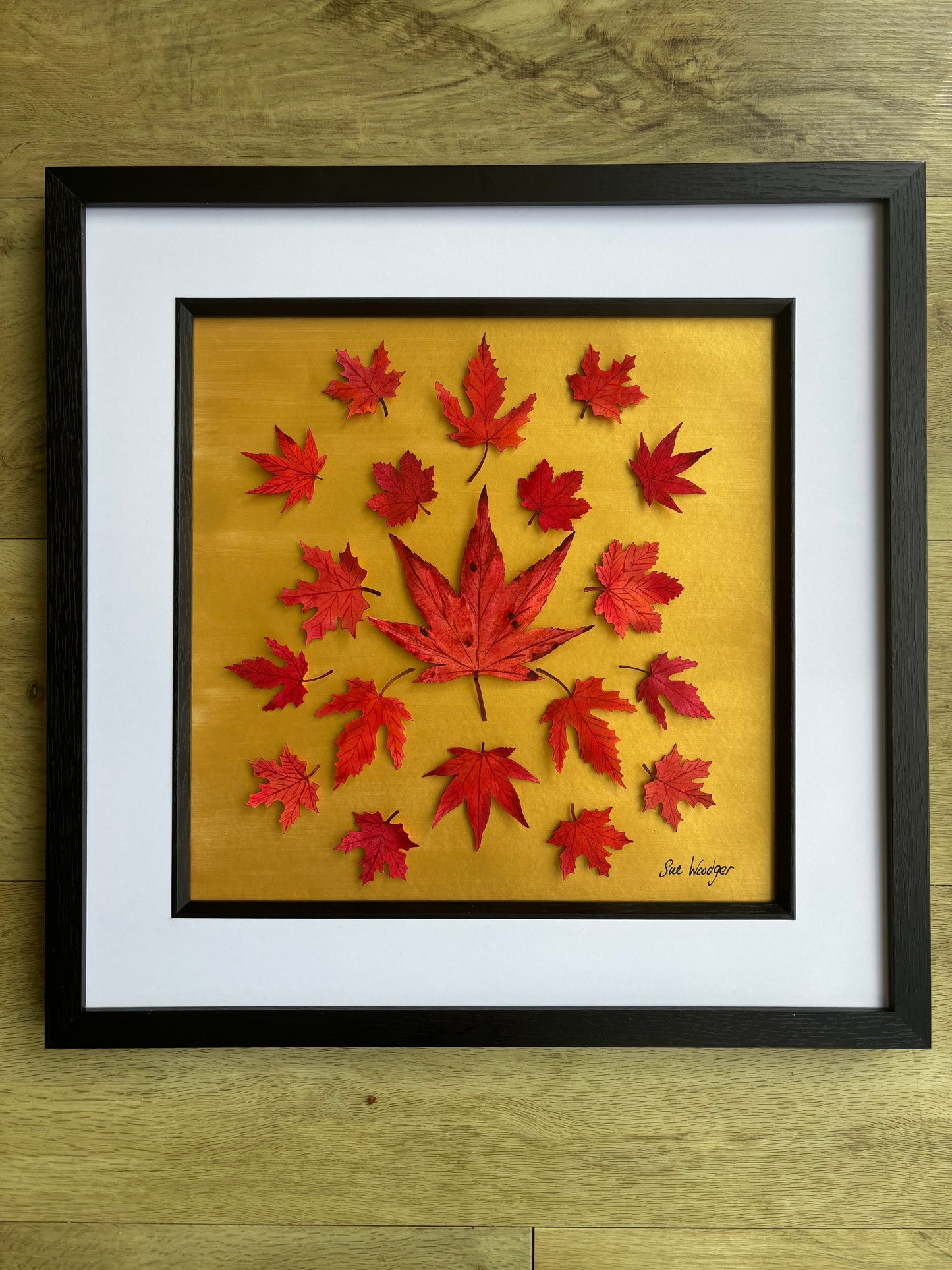 Autumnal wonder