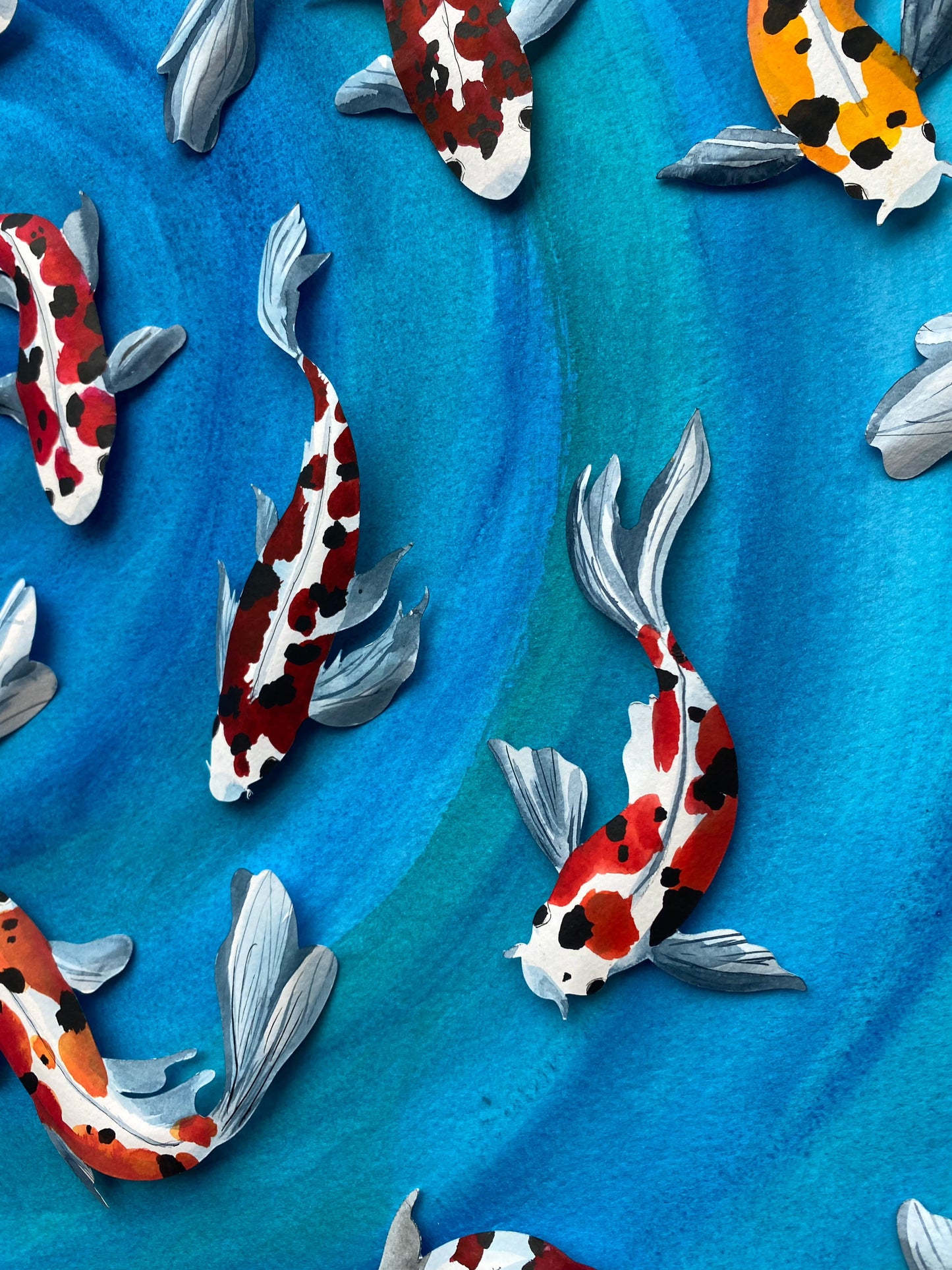 Swimming Koi - Out for a swim