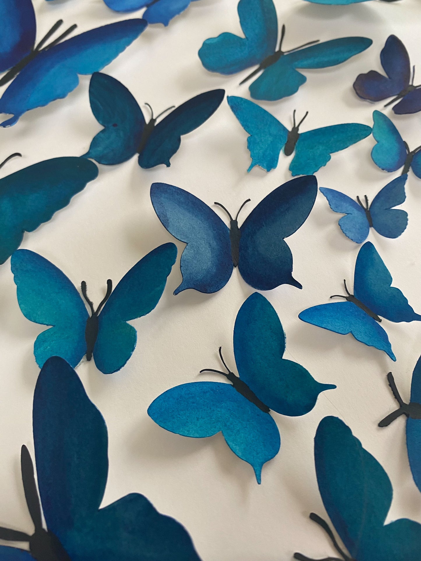 Blue Paper Butterflies - Come Fly With Me