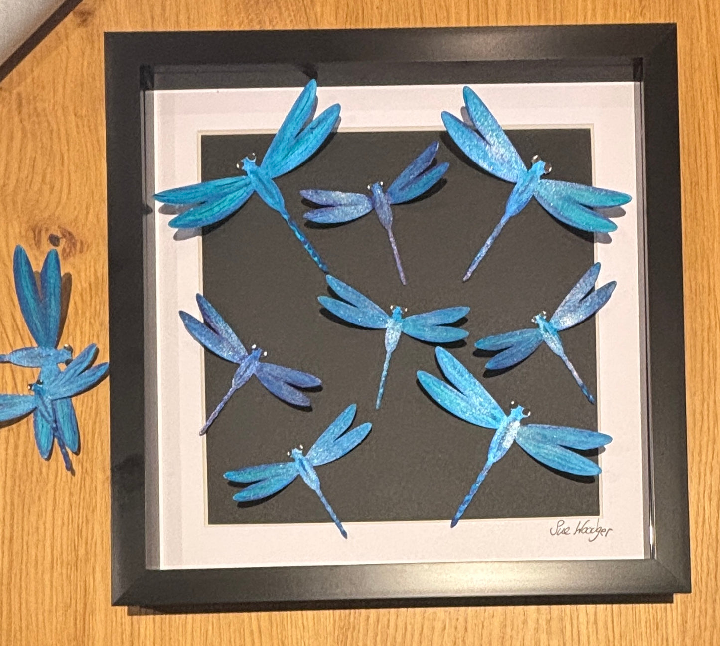 Iridescent Dragonflies