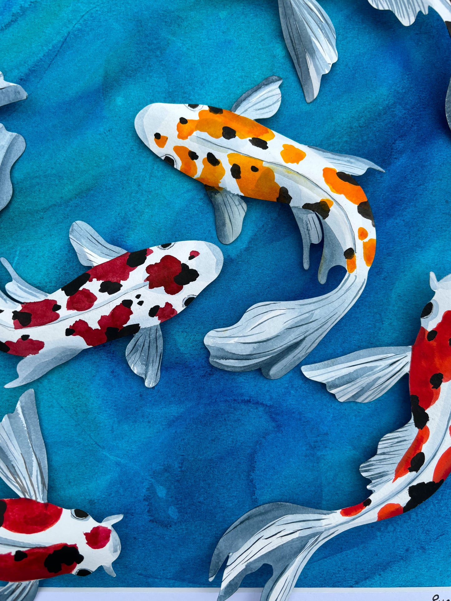 Original Koi- Embracing Pond Life