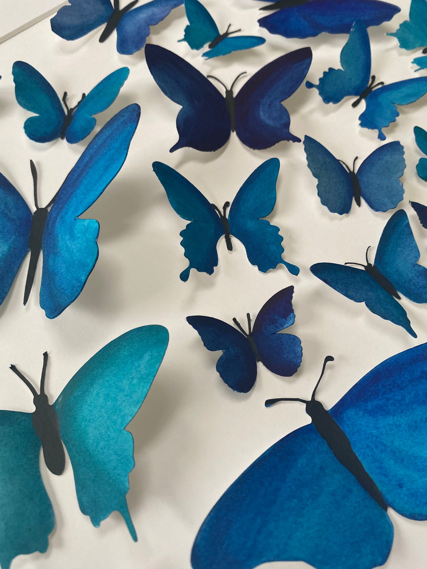 Blue Paper Butterflies - Come Fly With Me