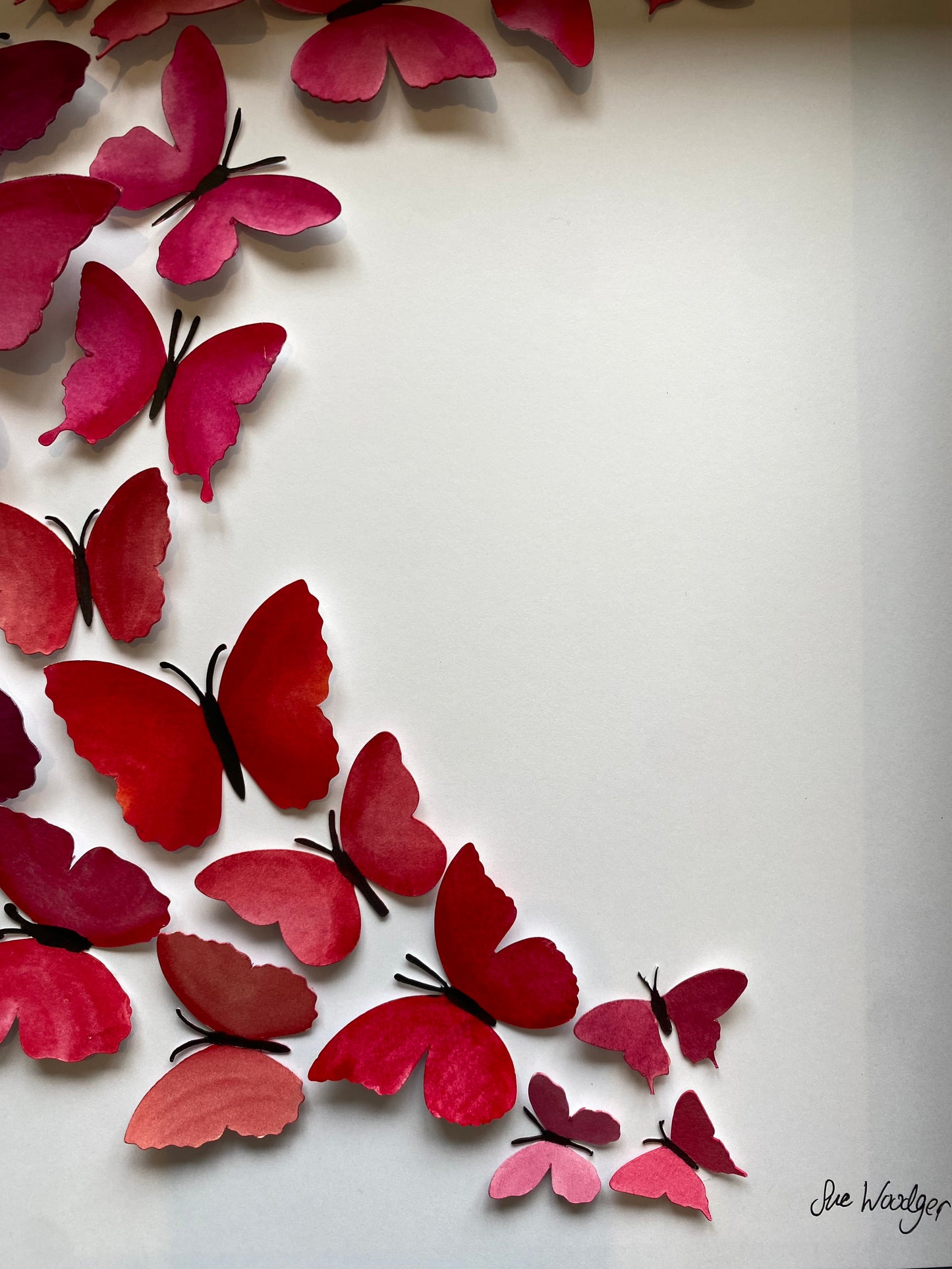 Sweeping pink butterflies - large