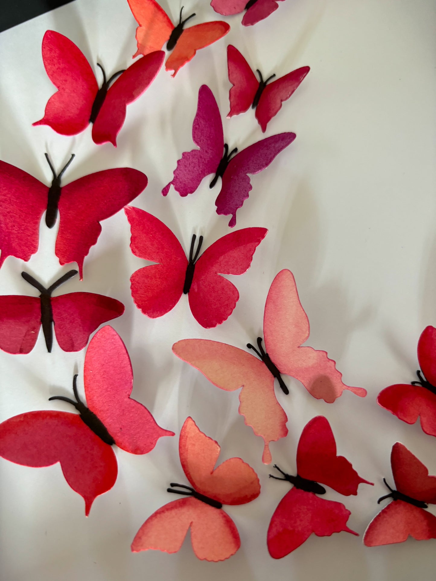 Original pink butterfly box - small