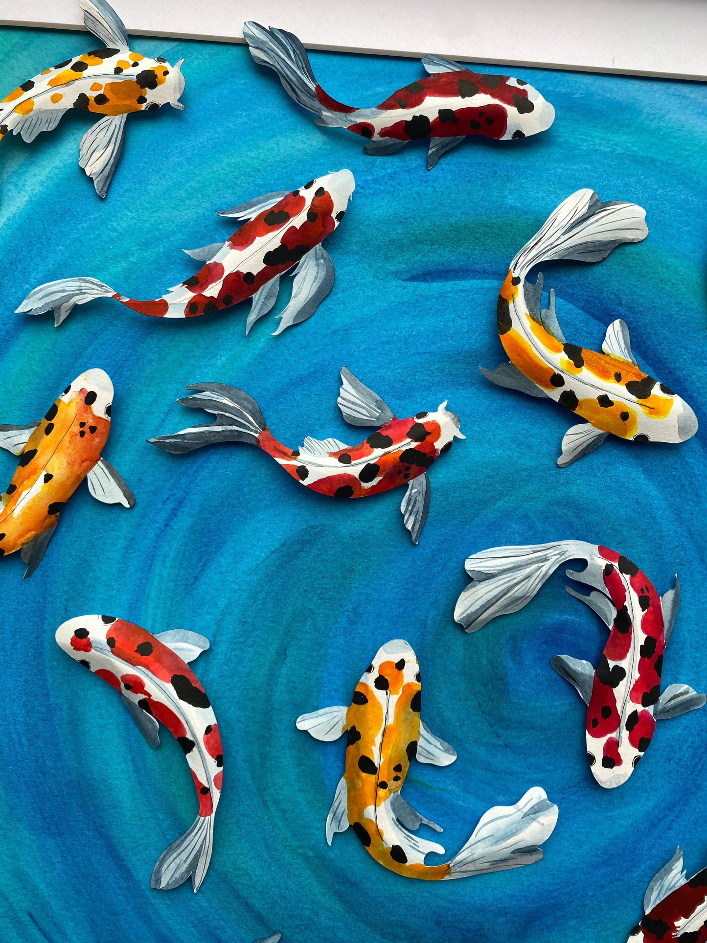 Swimming Koi - Out for a swim
