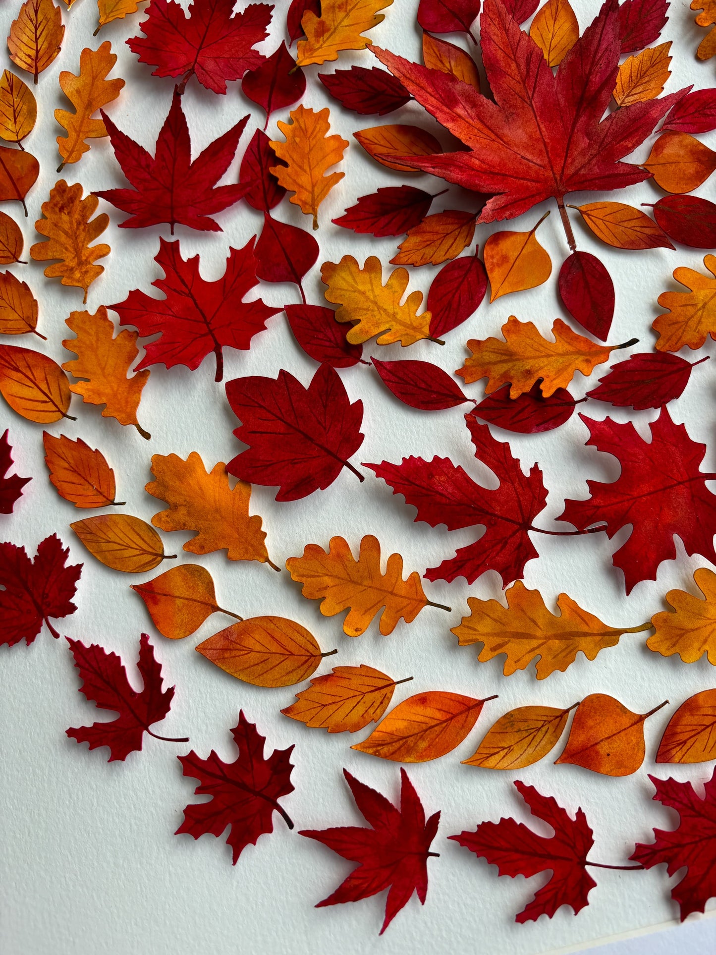 Ode to Autumn