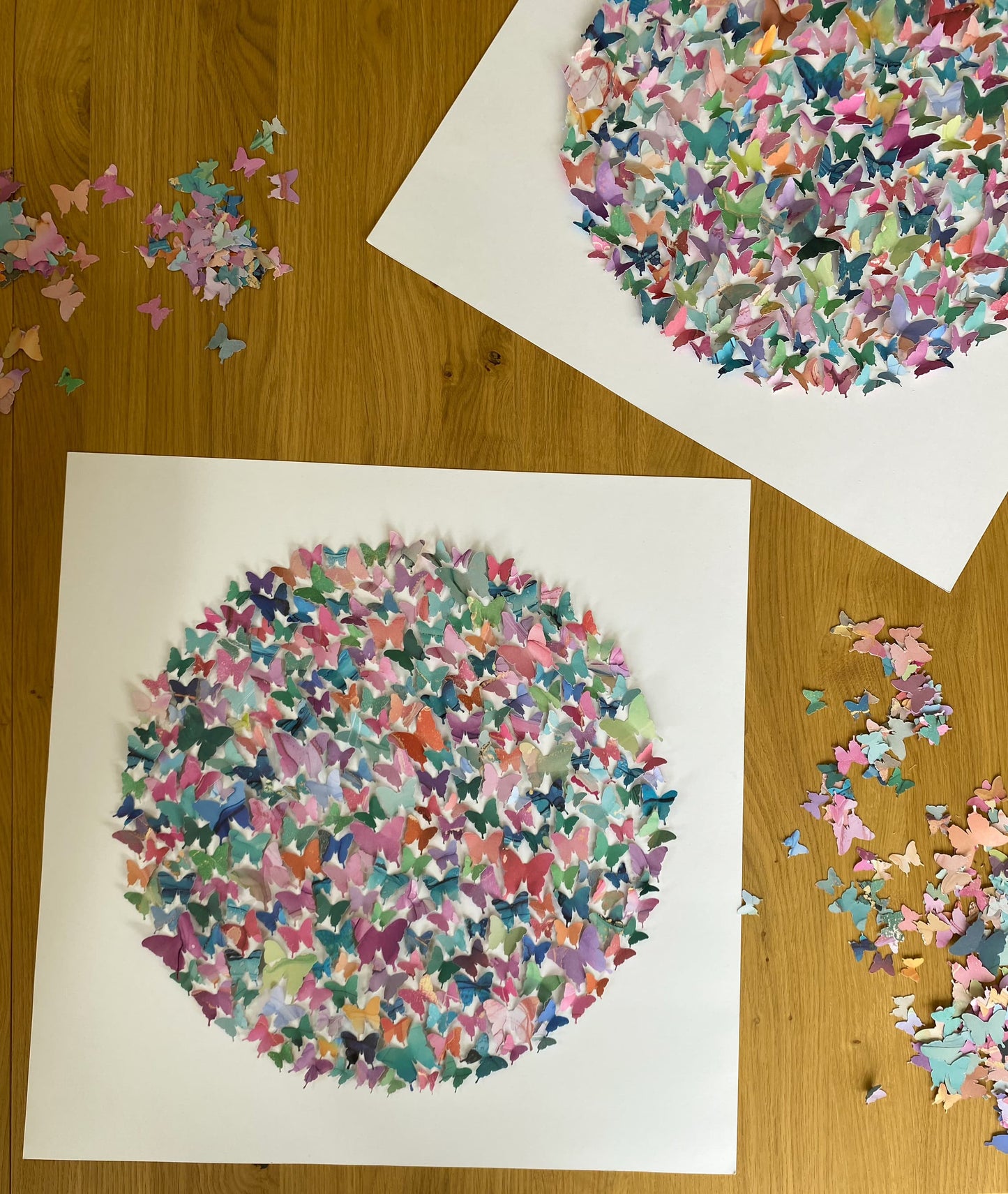 Large Paper Butterfly Circle