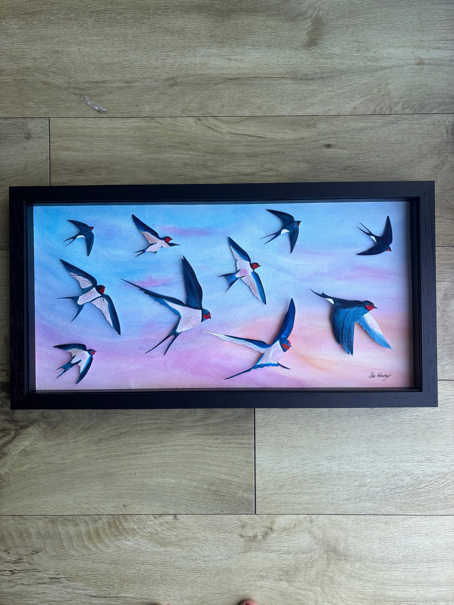 Swallow Evening Song