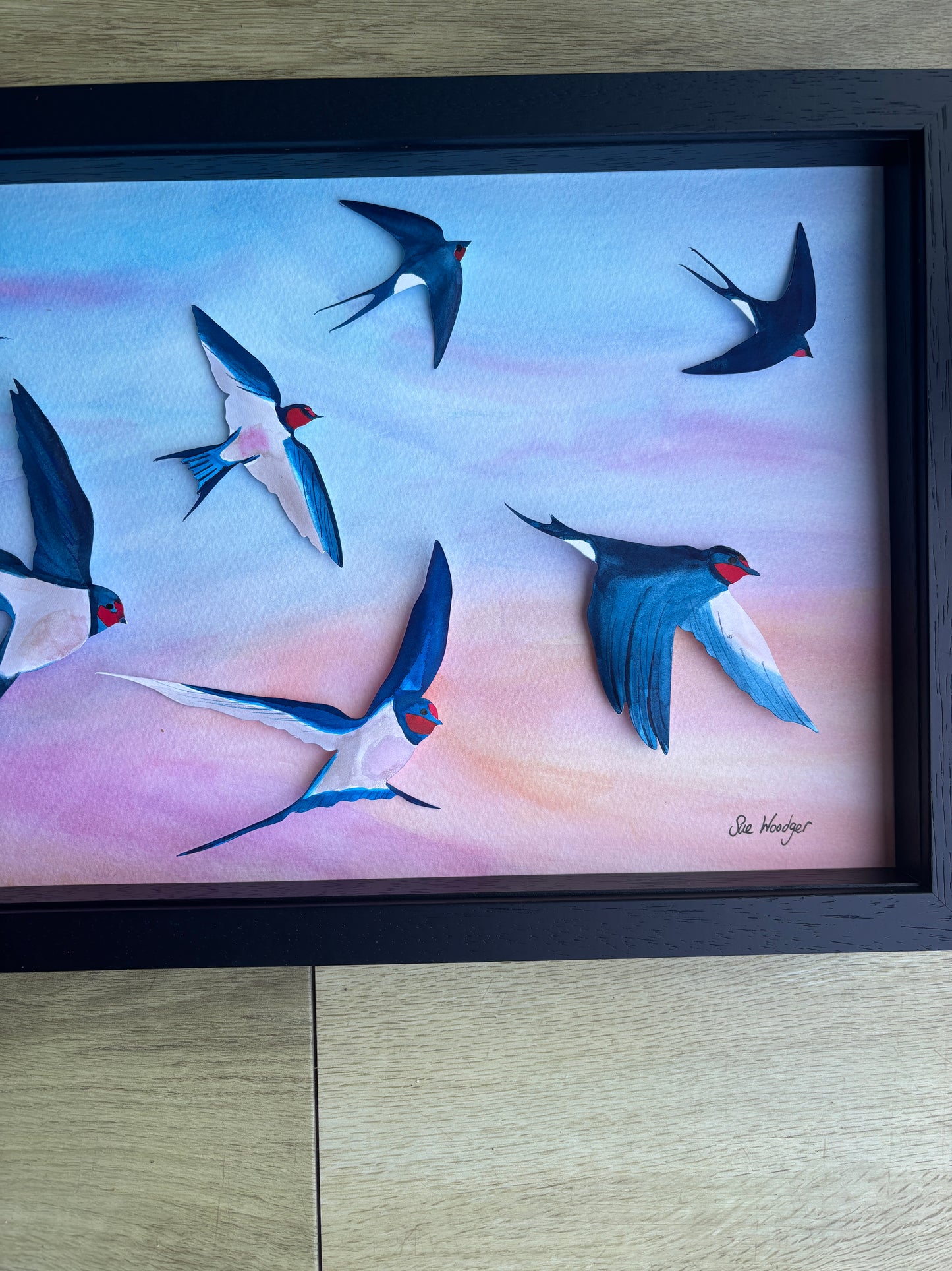 Swallow Evening Song