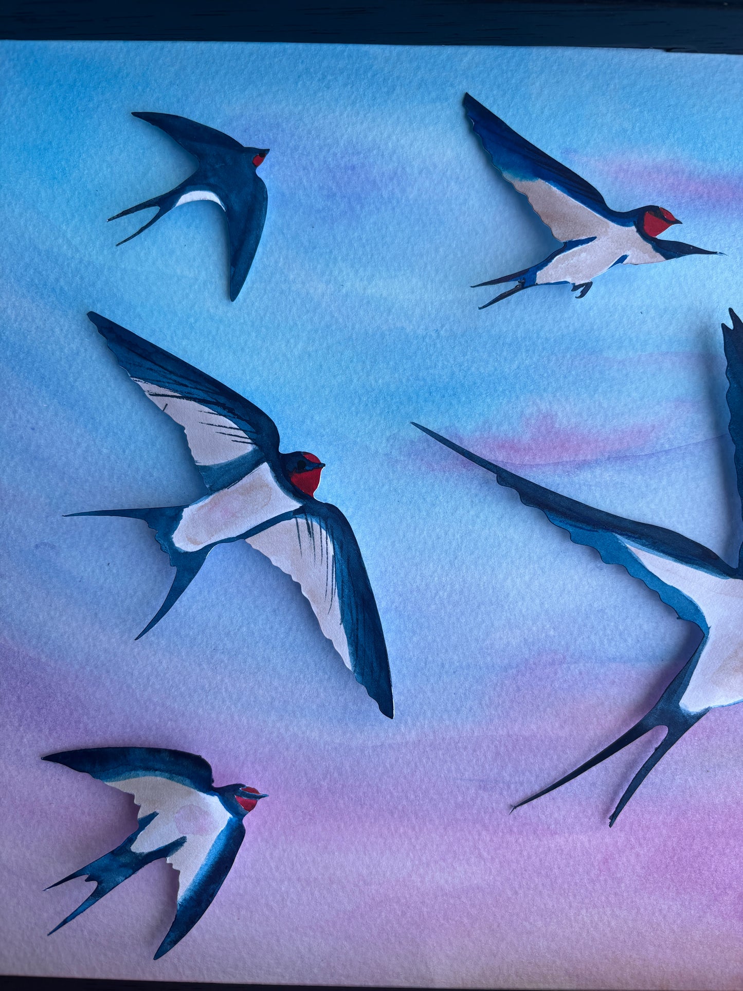 Swallow Evening Song