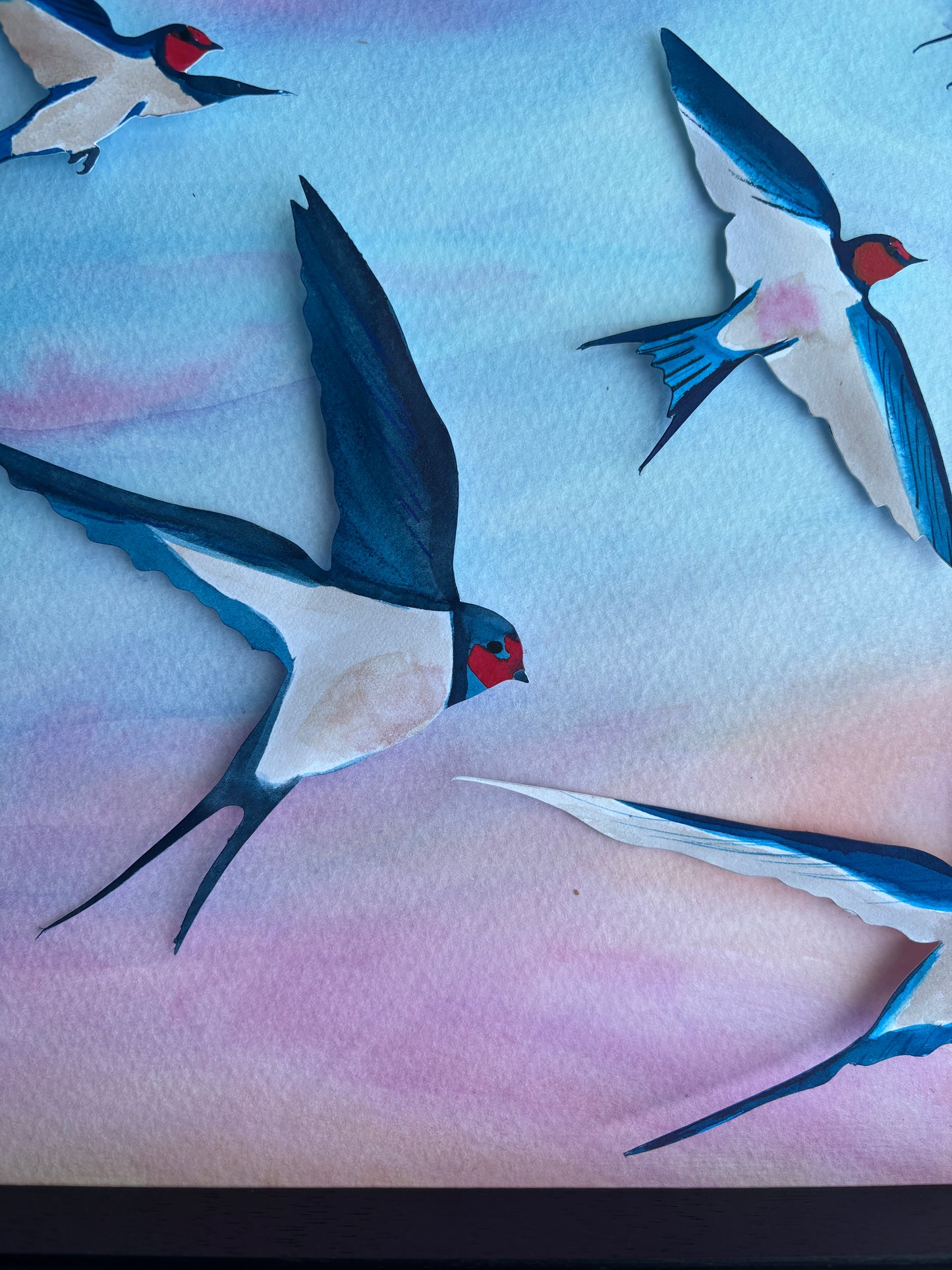Swallow Evening Song