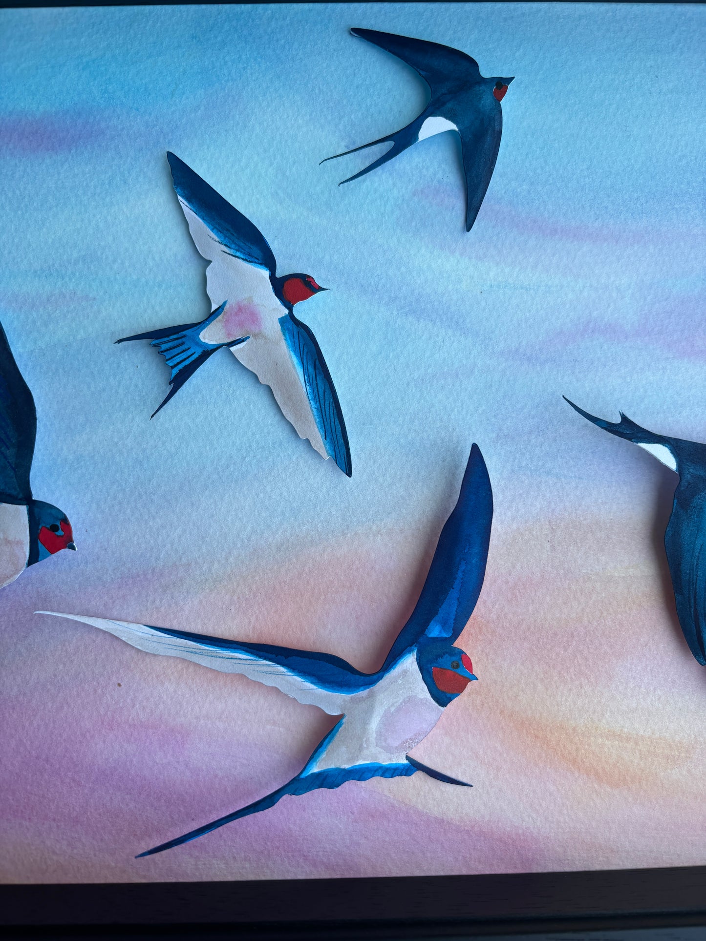 Swallow Evening Song