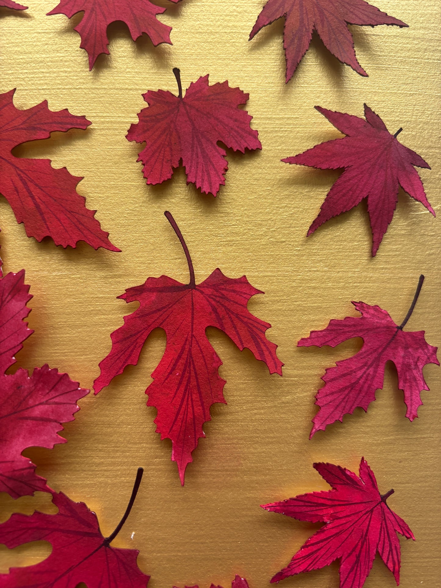 Autumnal leaf flight