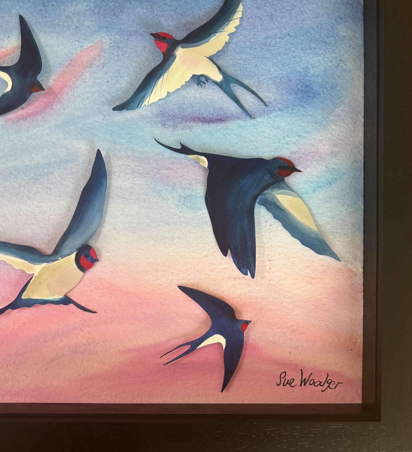 Swallow Evening Song