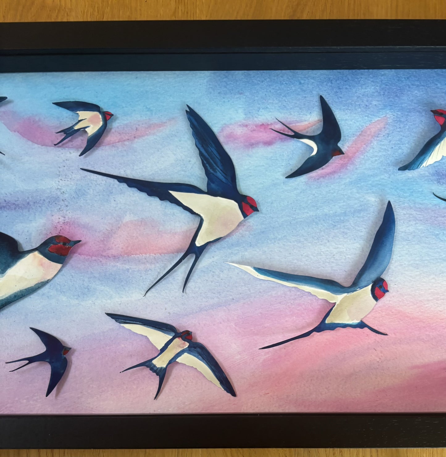 Swallow Evening Song