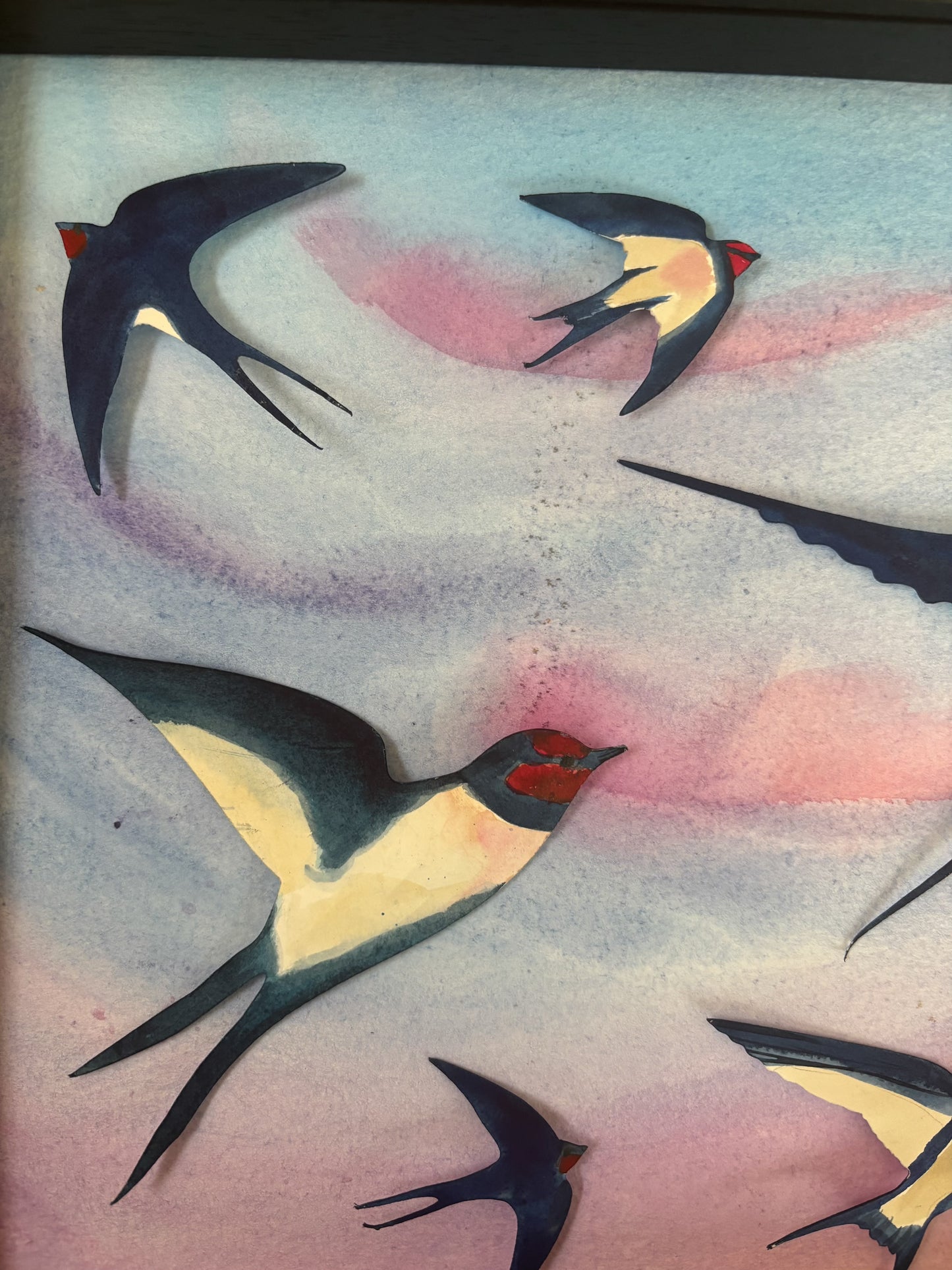 Swallow Evening Song