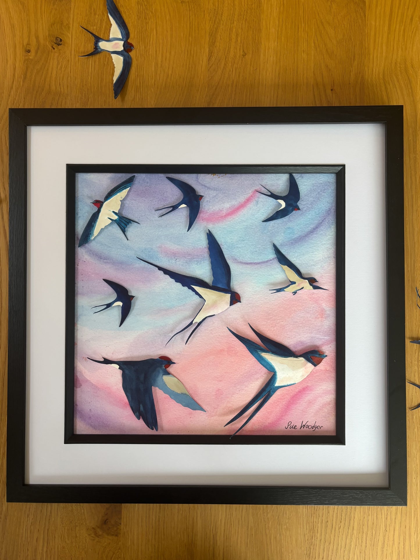 Swallow Evening Swoop