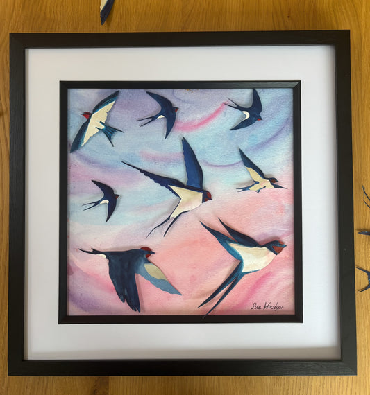 Swallow Evening Swoop