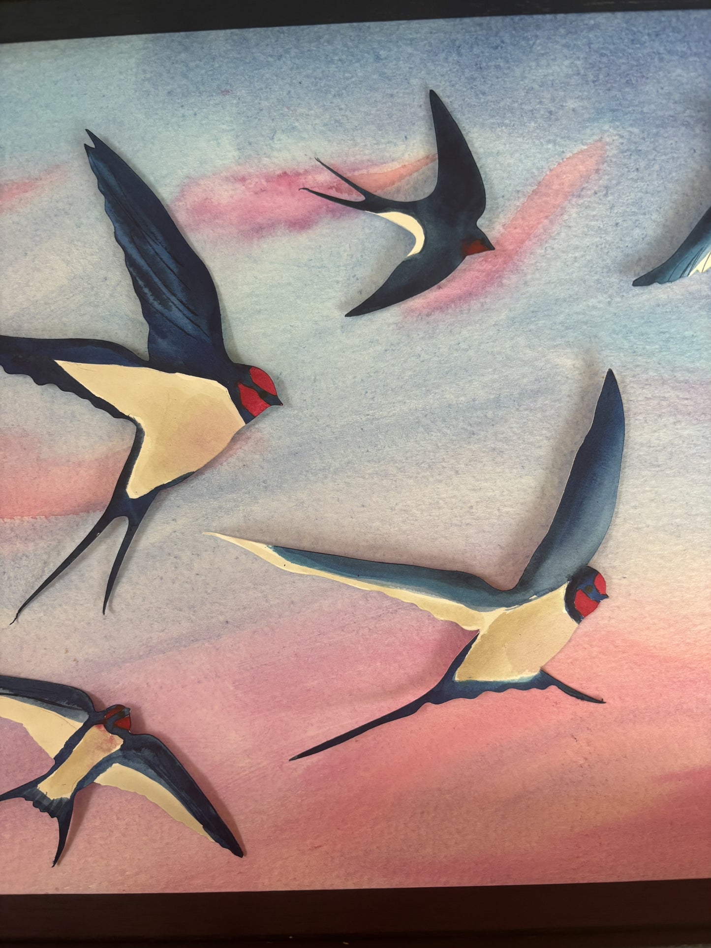 Swallow Evening Song