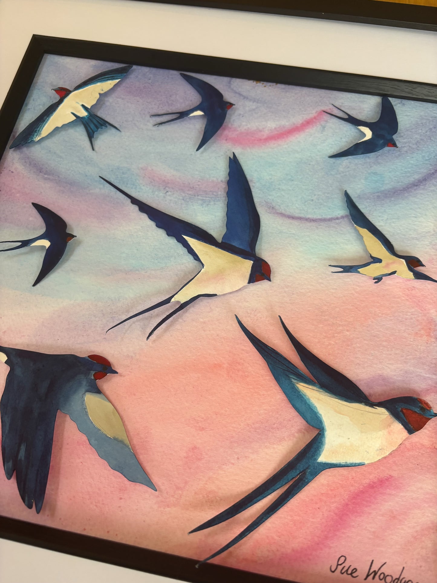 Swallow Evening Swoop