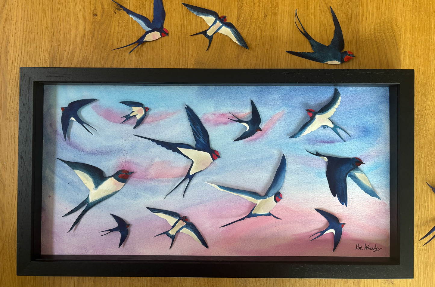 Swallow Evening Song