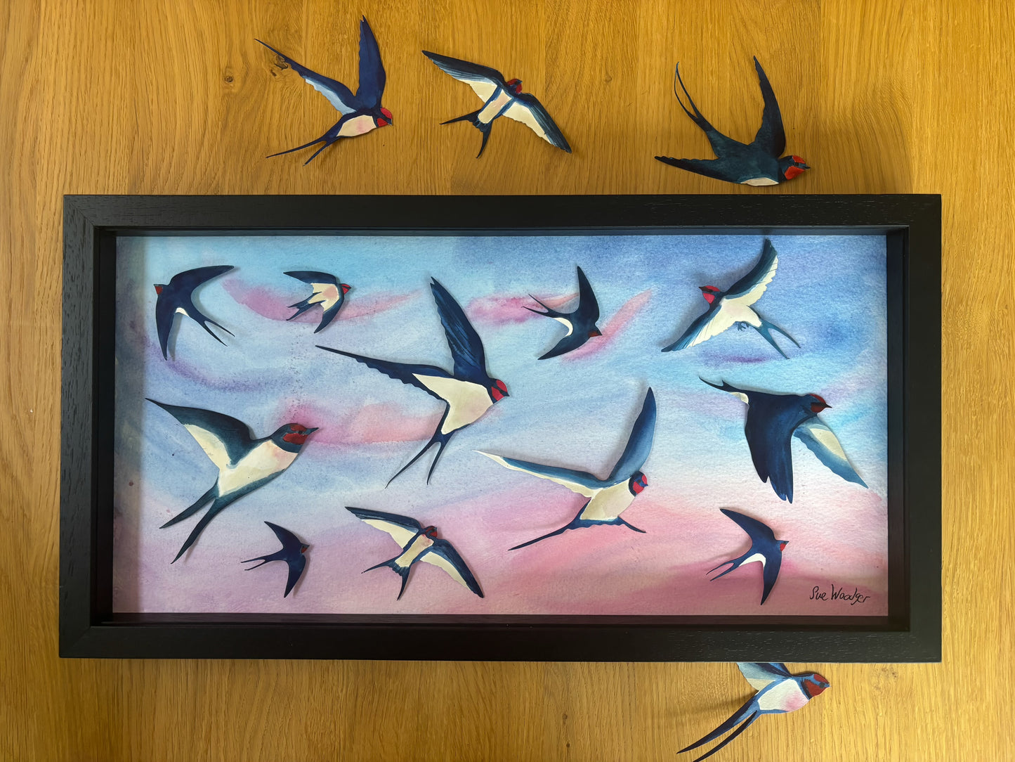 Swallow Evening Song