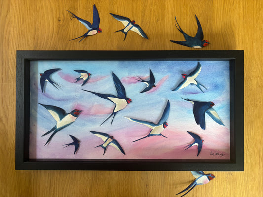 Swallow Evening Song