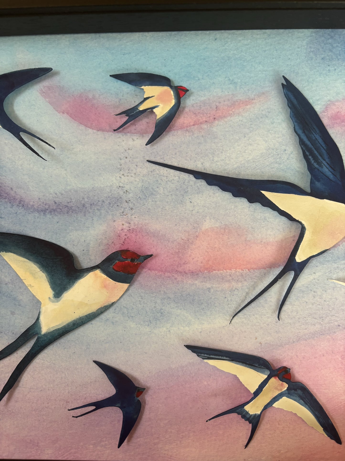 Swallow Evening Song