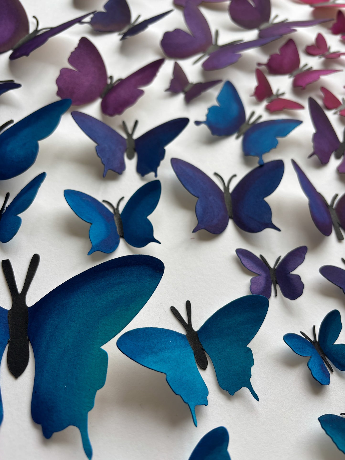 Take me away - Paper Butterflies