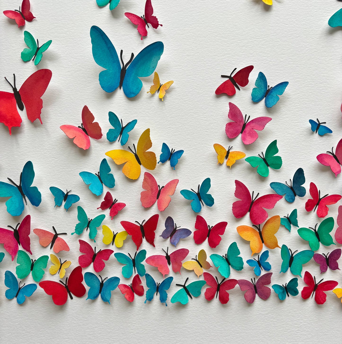 Large Butterfly Flight - Summer Brights