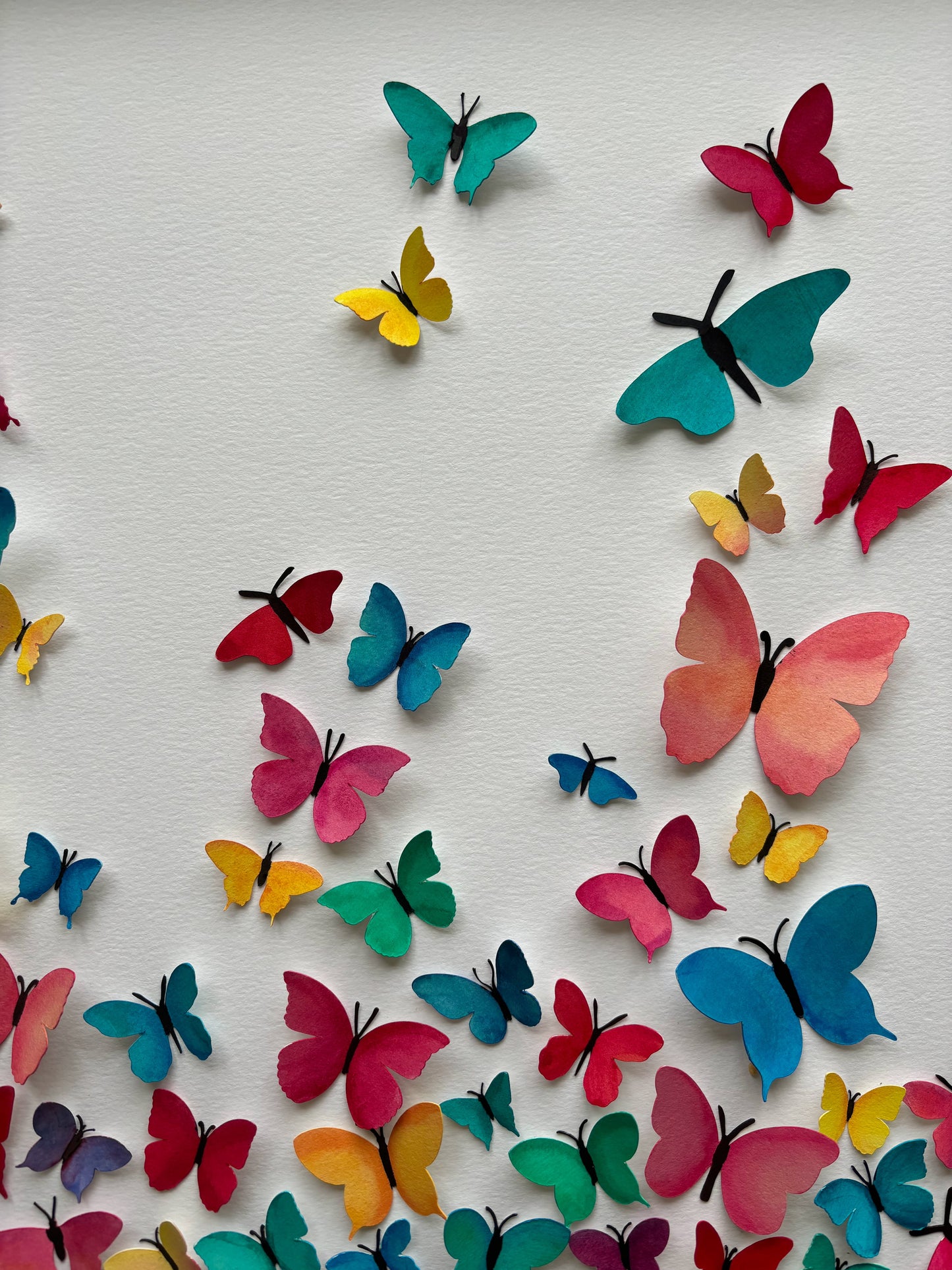 Large Butterfly Flight - Summer Brights